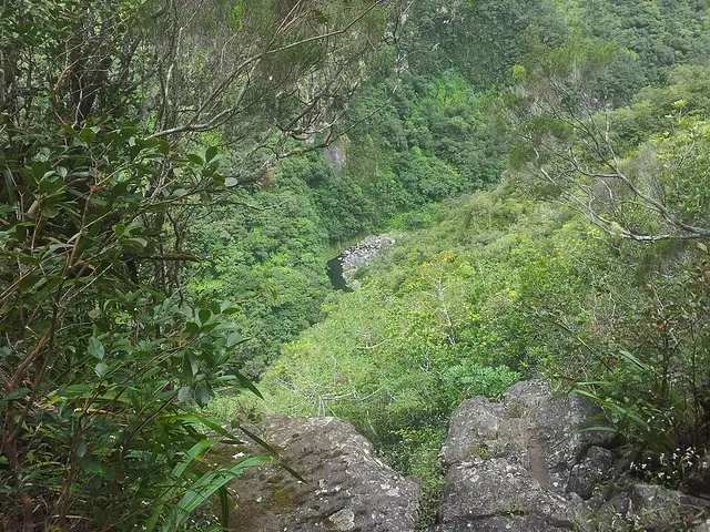 Bassin sur la rivière des marsouins