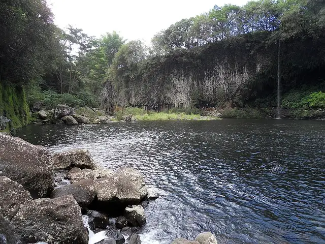 Bassin la Paix