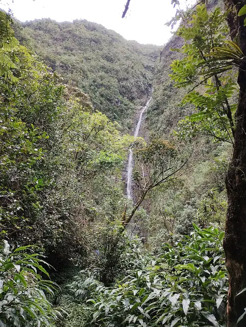 Cascade Biberon