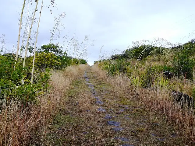 Chemin des Anglais - franek2