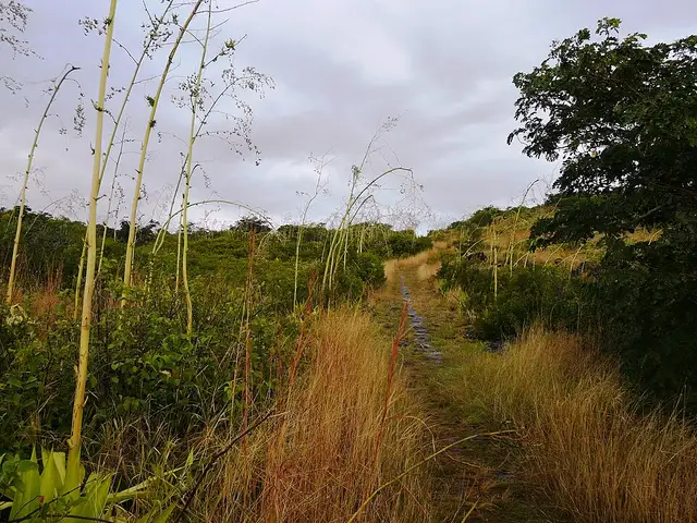 Chemin des Anglais