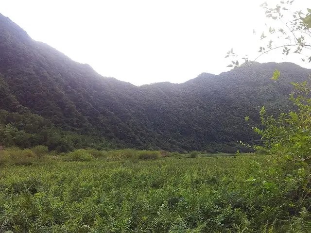 Grand Etang