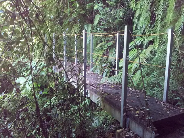 Passerelle sur le sentier de takamaka