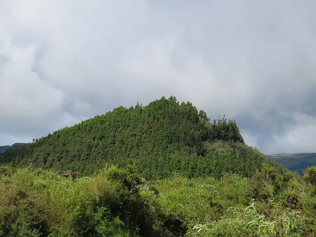 Piton desforges