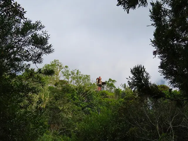Belvédère de la Roche Merveilleuse