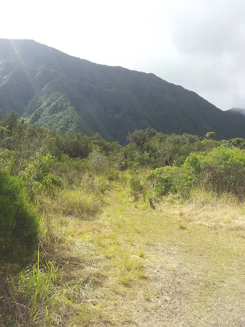Sentier Takamaka