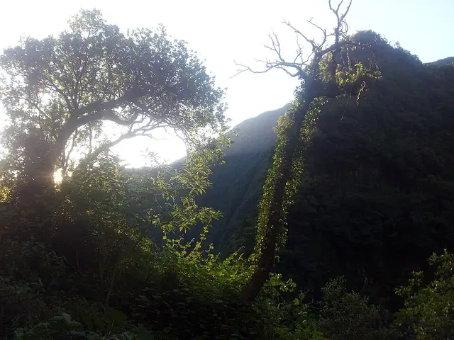 Takamaka, premiers rayons