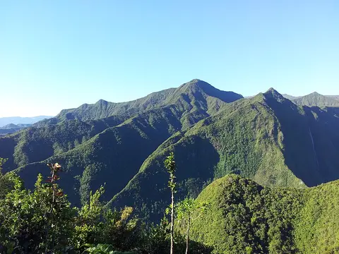 Morne du Bras des Lianes