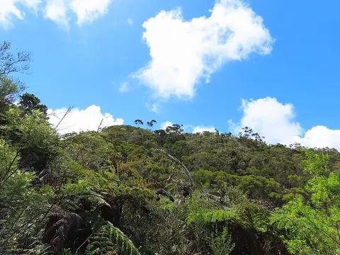 Piton Lepervanche